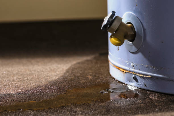 Best Water damage restoration near me  in Princeton Meadows, NJ