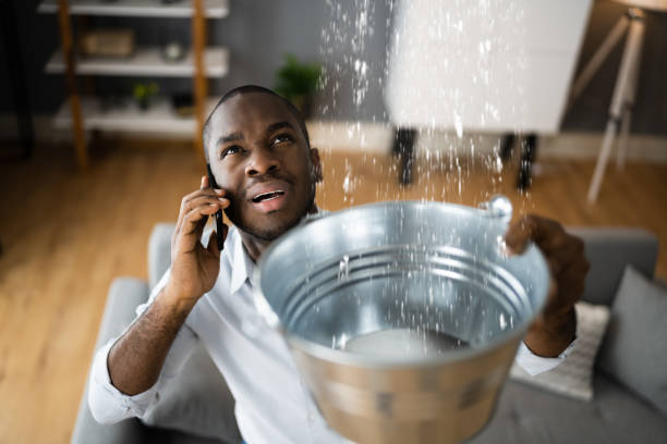  Princeton Meadows, NJ Water damage restoration Pros