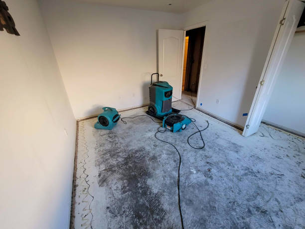 Best Sewage cleanup and water damage restoration  in Princeton Meadows, NJ