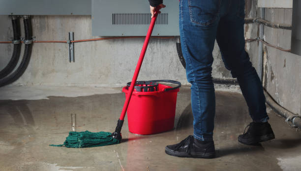 Best Flooded house restoration  in Princeton Meadows, NJ