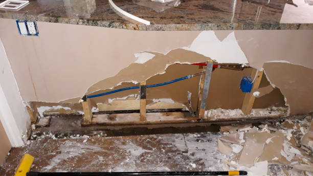 Best Flooded house restoration  in Princeton Meadows, NJ