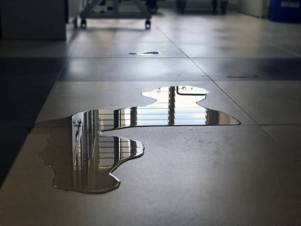 Best Water damage restoration near me  in Princeton Meadows, NJ
