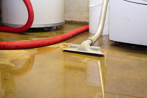Best Basement water damage restoration  in Princeton Meadows, NJ