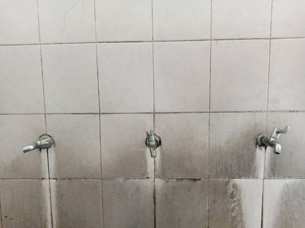 Best Mold removal after water damage  in Princeton Meadows, NJ