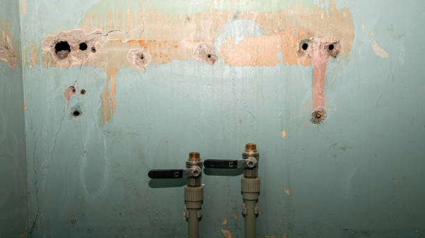 Best 24-hour water damage restoration  in Princeton Meadows, NJ