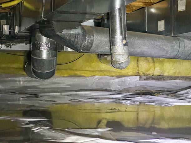 Best Water damage cleanup near me  in Princeton Meadows, NJ