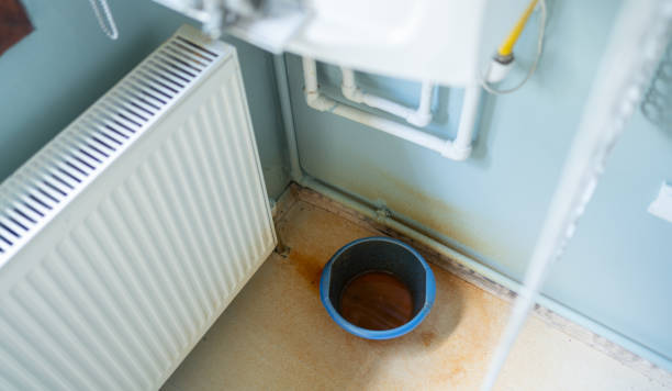 Best Water damage cleanup near me  in Princeton Meadows, NJ
