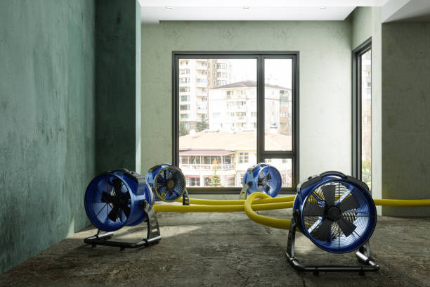 Best Professional water damage repair  in Princeton Meadows, NJ