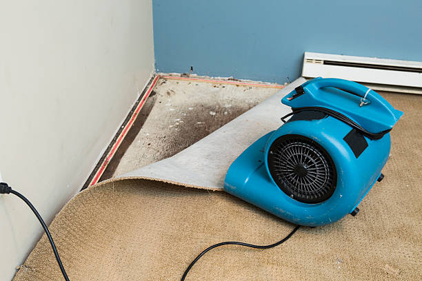  Princeton Meadows, NJ Water damage restoration Pros
